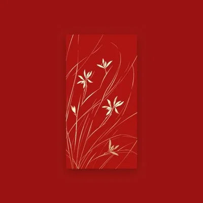 New universal red envelope for Chinese New Year, is a 2025 gift